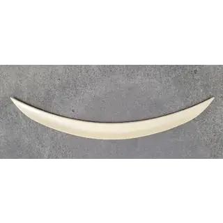 P-Style spoiler (voor F22, spuitklaar) foto 2