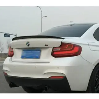 P-Style spoiler (voor F22, spuitklaar) foto 1