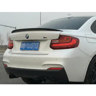 P-Style spoiler (voor F22, hoogglans zwart)