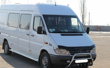 Mercedes Sprinter W901/902/903/904/905 1995–2006 RVS bullbar WT003 1995-2000 foto 3