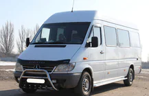 Mercedes Sprinter W901/902/903/904/905 1995–2006 RVS bullbar WT003 foto 4
