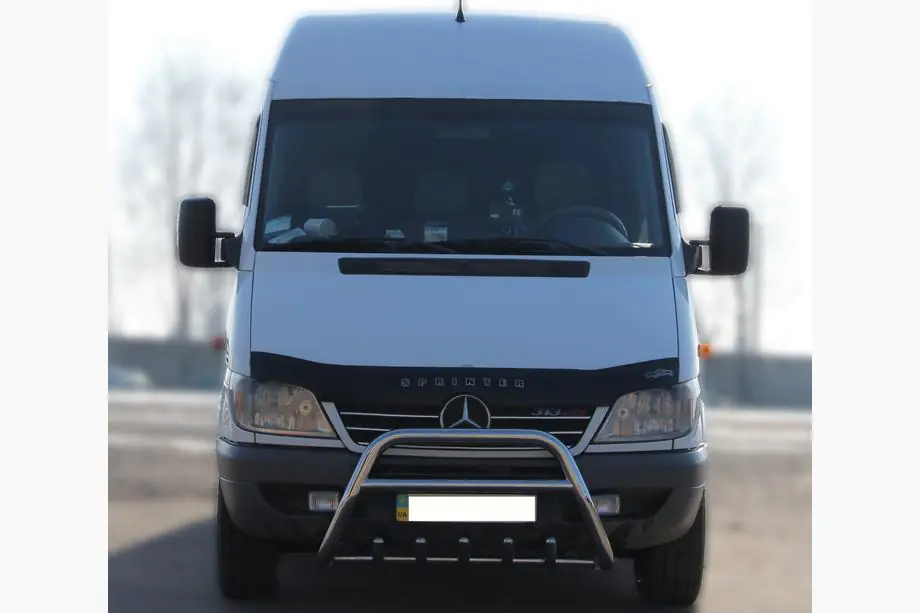 Mercedes Sprinter W901/902/903/904/905 1995–2006 RVS bullbar WT003 Image