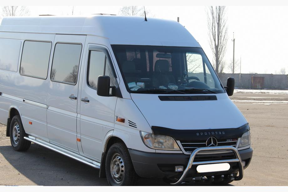 Mercedes Sprinter W901/902/903/904/905 1995–2006 RVS bullbar WT003 2000-2006 Foto 3