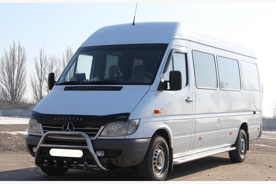 Mercedes Sprinter W901/902/903/904/905 1995–2006 RVS bullbar WT003 2000-2006 Foto 4