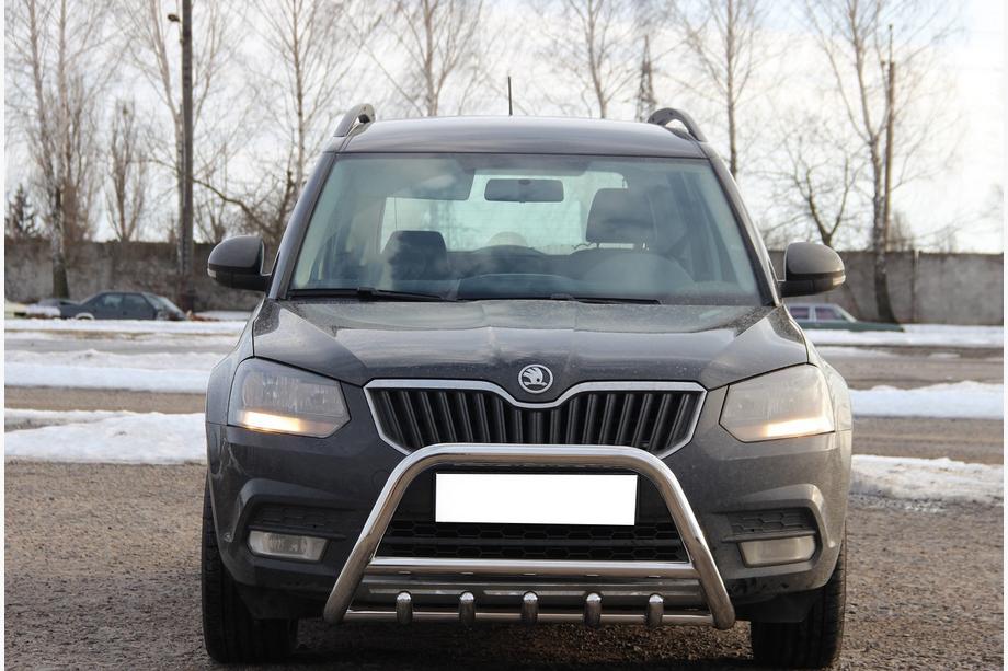 Skoda Yeti 2009–2017 Bullbar WT003 (RVS) Image