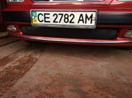 Daewoo Lanos 1998–2017 Winterafdekking radiateurgrille (onderste) Mat foto 2
