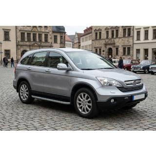 Side steps Tayga Grey (set van 2, aluminium) foto 1
