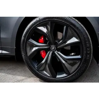 Gesmede OEM R23 V8 velgen (4 stuks) foto 1