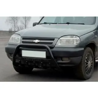 Bullbar WT004 Black (RVS) foto 1