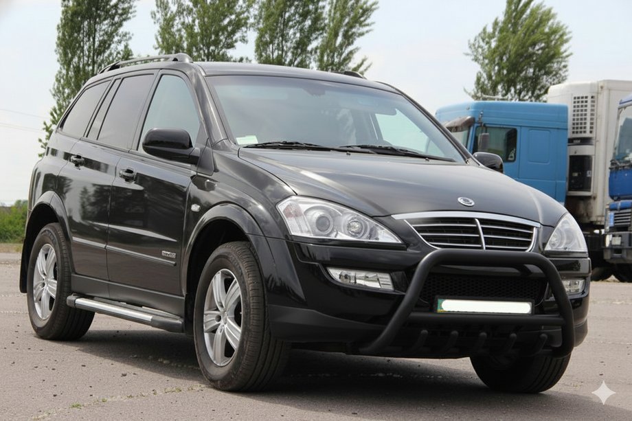 SsangYong Action 2005–2018 Bullbar WT003 Black (RVS) Image