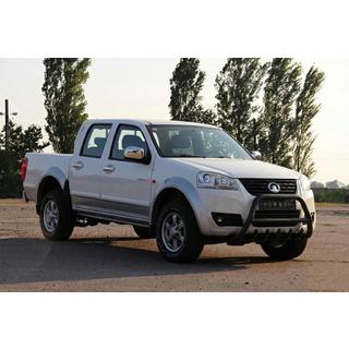 Bullbar WT003 Black (RVS) foto 3