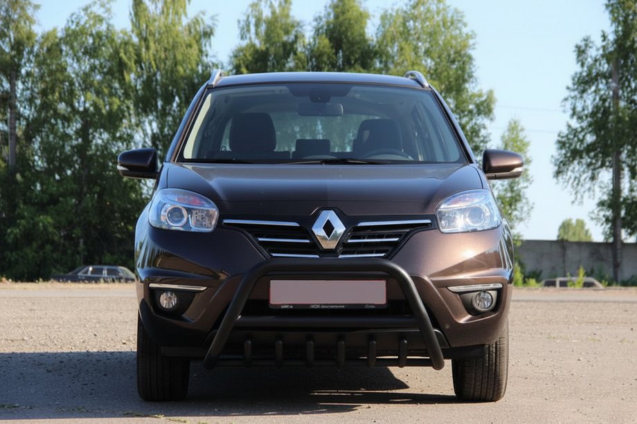 Renault Koleos 2008–2016 Bullbar WT003 Black (RVS) Foto 8