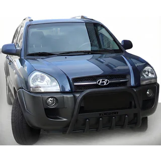 Bullbar WT004 Black (RVS) foto 3
