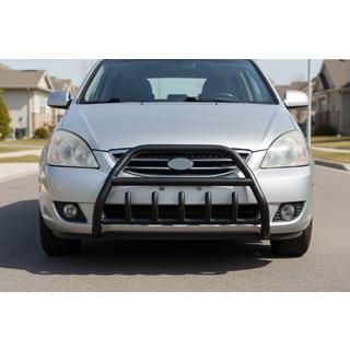 Bullbar WT003 Black (RVS) foto 1