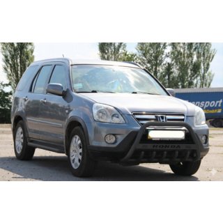 Bullbar WT004 Black (RVS) foto 2