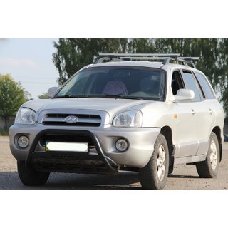 Bullbar WT004 Black (RVS) foto 1