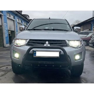 Bullbar WT004 Black (RVS) foto 2