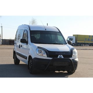 Bullbar WT004 Black (RVS) foto 2