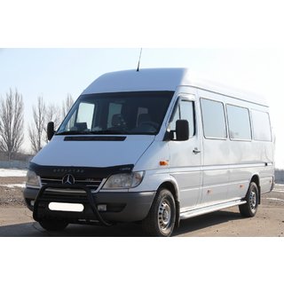 Bullbar WT003 Black (RVS) foto 1