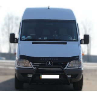 Bullbar WT003 Black (RVS) foto 3