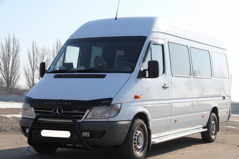 Mercedes Sprinter W901/902/903/904/905 1995–2006 Bullbar WT003 Black (RVS) Image