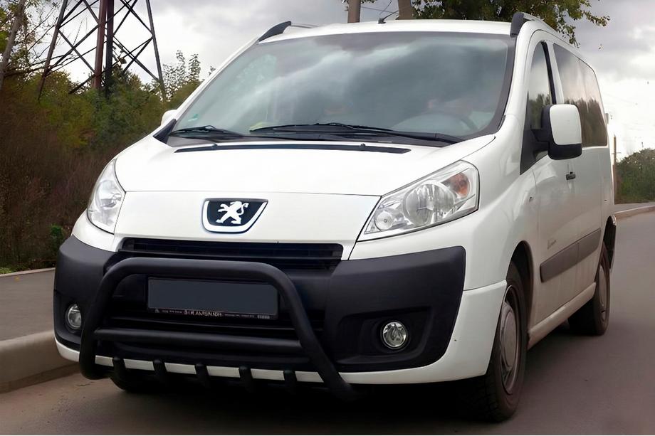 Citroen Jumpy 2007–2017 Bullbar WT003 Black (RVS) Image