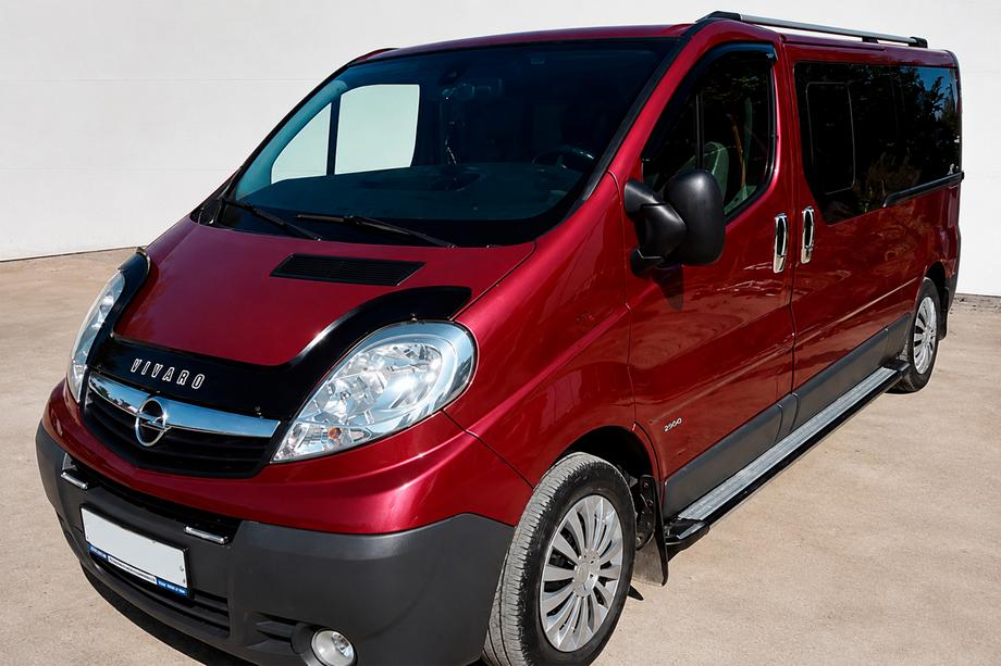 Renault Trafic 2001–2015 Rainbow zijtreden (set van 2, aluminium) Image