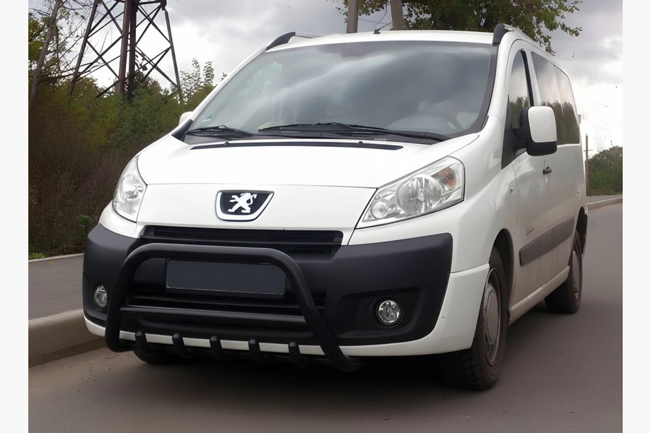 Fiat Scudo 2007–2015 Bullbar WT003 Black (RVS) Image