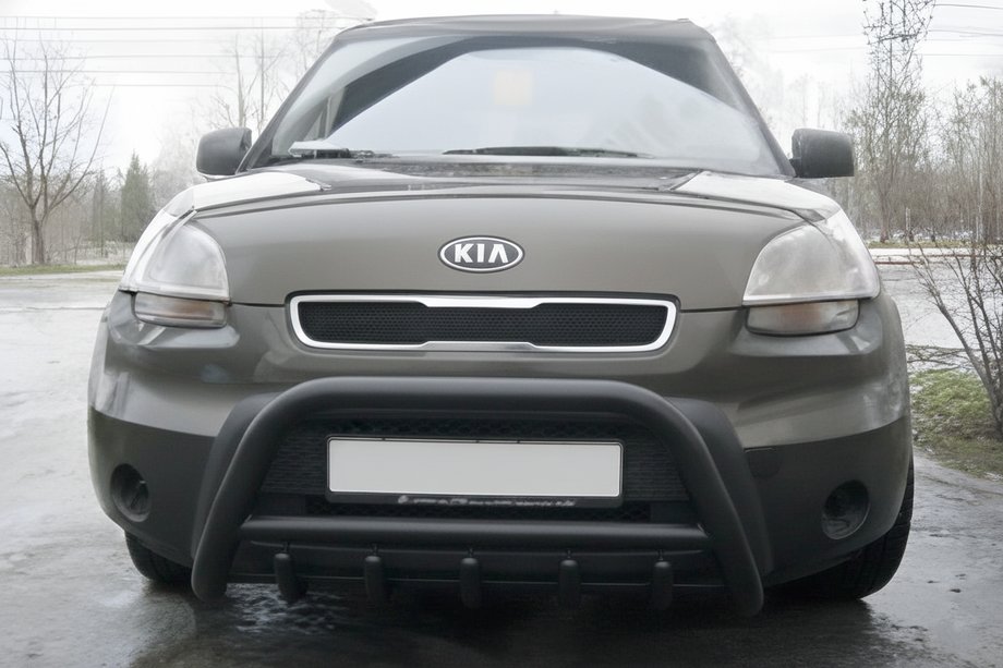 Kia Soul I 2008–2013 Bullbar WT003 Black (RVS) Image