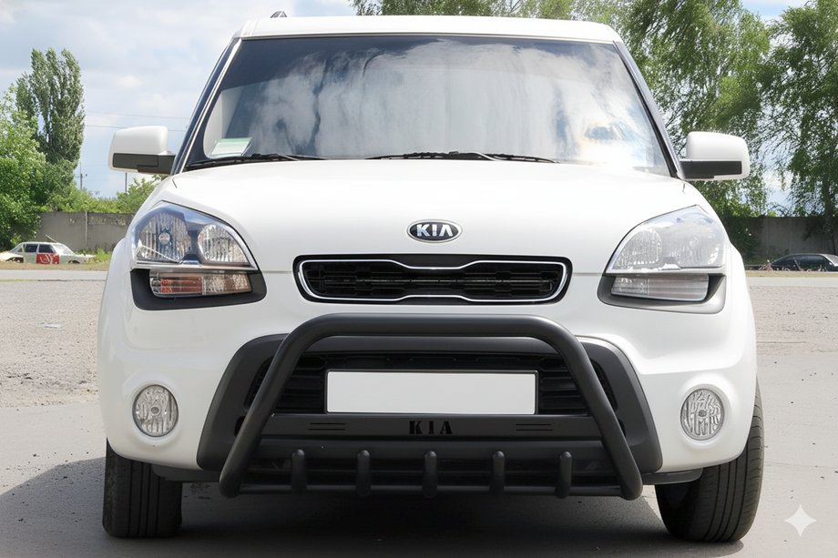 Kia Soul I 2008–2013 Bullbar WT004 Black (RVS) Image