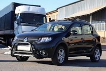 Dacia Sandero 2013–2020 Voorbumperbeugel WT006 Black (RVS) foto 3