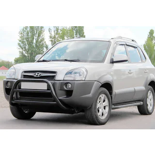 Bullbar WT022 Black (RVS) foto 2
