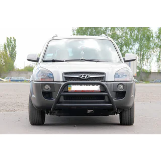 Bullbar WT022 Black (RVS) foto 1