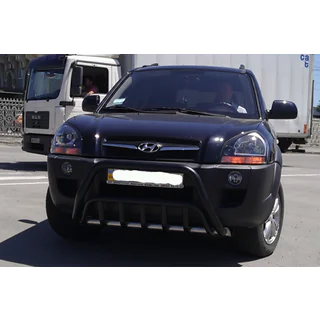 Bullbar WT002 Black (RVS) foto 3