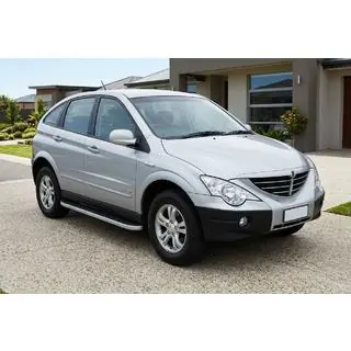 Side steps Tayga Grey (set van 2, aluminium) foto 1