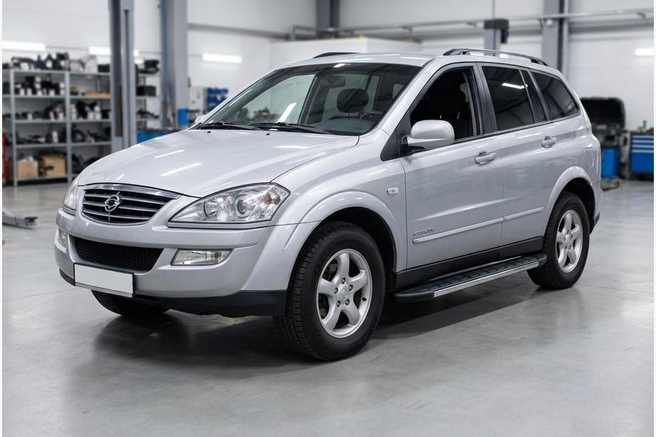 SsangYong Kyron 2005–2014 Duru side steps (2 stuks, aluminium) Image