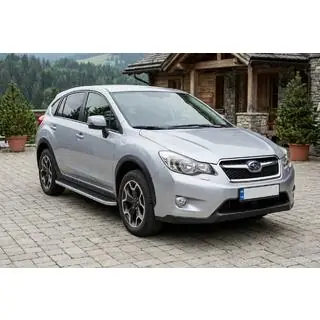 Side steps Tayga Grey (set van 2, aluminium) foto 1