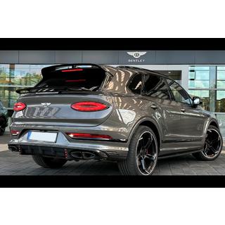 LRT-Design Carbon bodykit foto 3