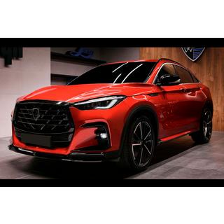 LRT-Design bodykit set (voor 2021-2024) foto 2