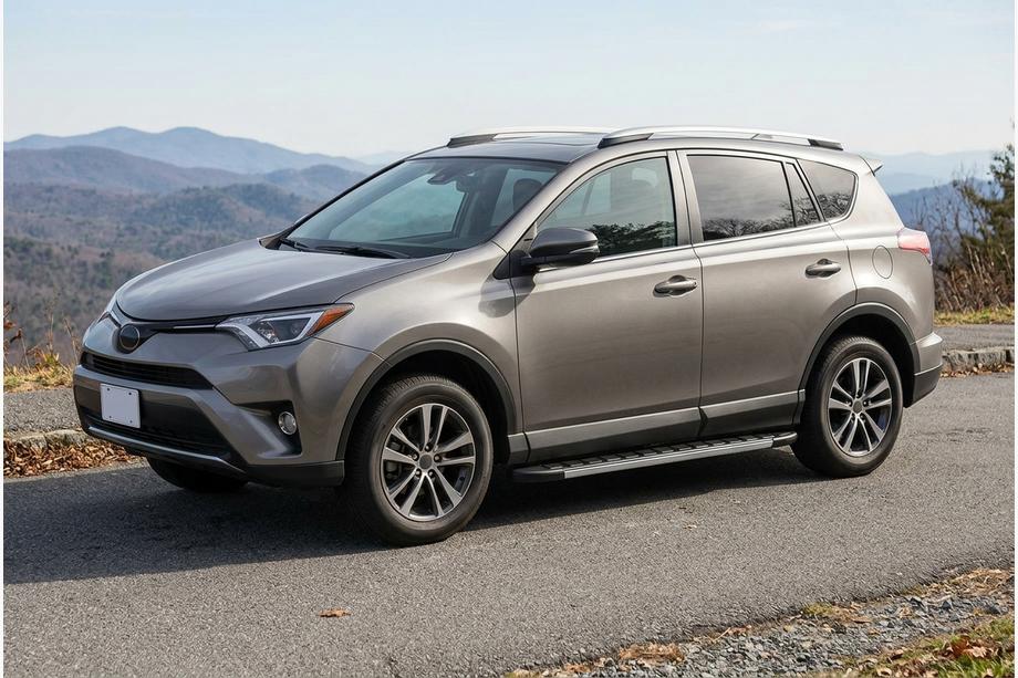 Toyota Rav 4 2013–2018 Duru side steps (2 stuks, aluminium) Image