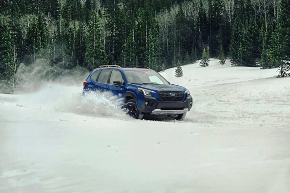 Welke auto is het meest geschikt voor winterse ritten?