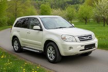 Chery Tiggo 3 2005– Side steps Allmond (2 stuks, aluminium) foto 1