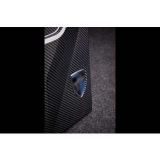LRT spatbordverbreders (2023+, carbon) BMW X6 G06 2019–2027 foto 3