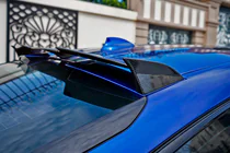 BMW X6 G06 2019–2027 Achterruitspoiler LRT (Carbon) foto 1