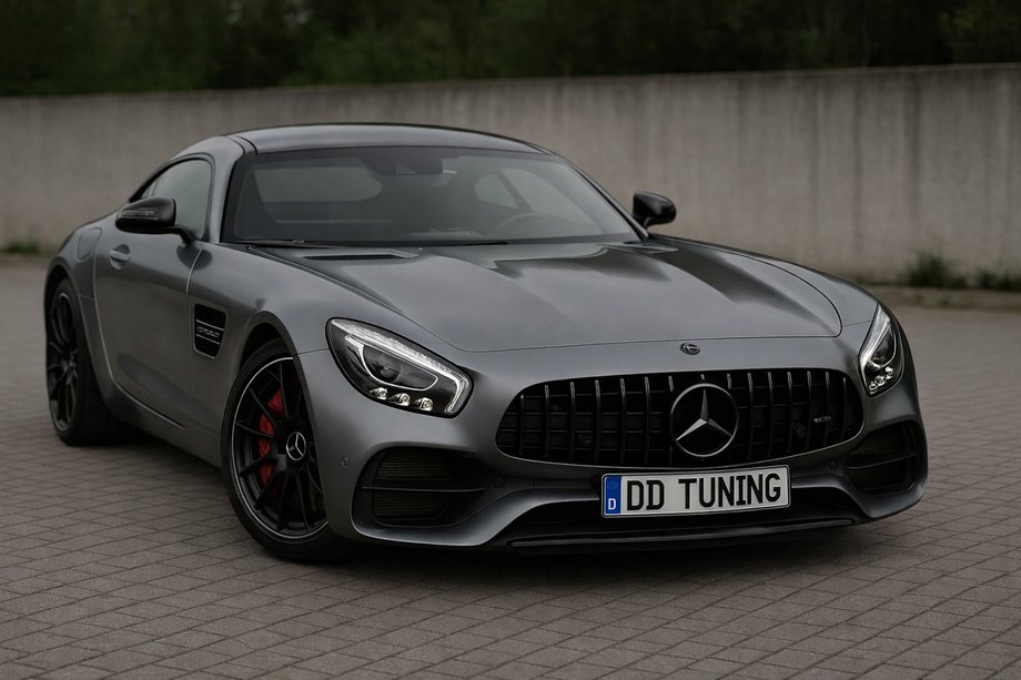 Mercedes AMG GT C190/R190 2014–2022 Voorgrille GT Panamericana Black (2014-2017) Image