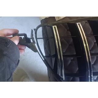 Outlet tuning radiateurgrille (GT Panamericana Black) foto 4