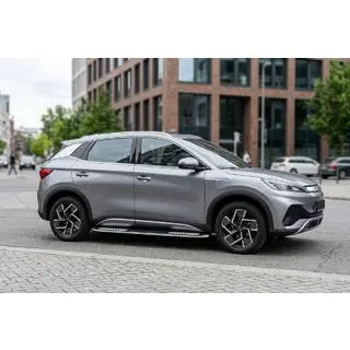Side steps Tayga V2 (2 stuks, aluminium) foto 1