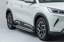 BYD Atto 2/Yuan Up 2024– Rainbow zijtreden (set van 2, aluminium) foto 1