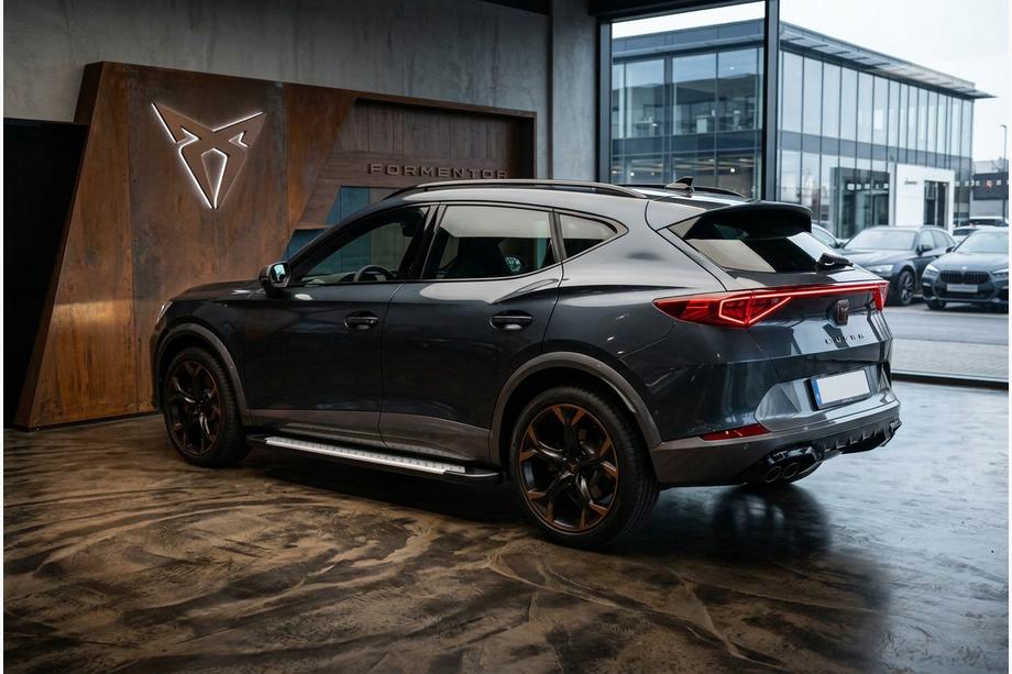 Cupra Formentor 2020– Side steps Allmond Grey (set van 2, aluminium) Image