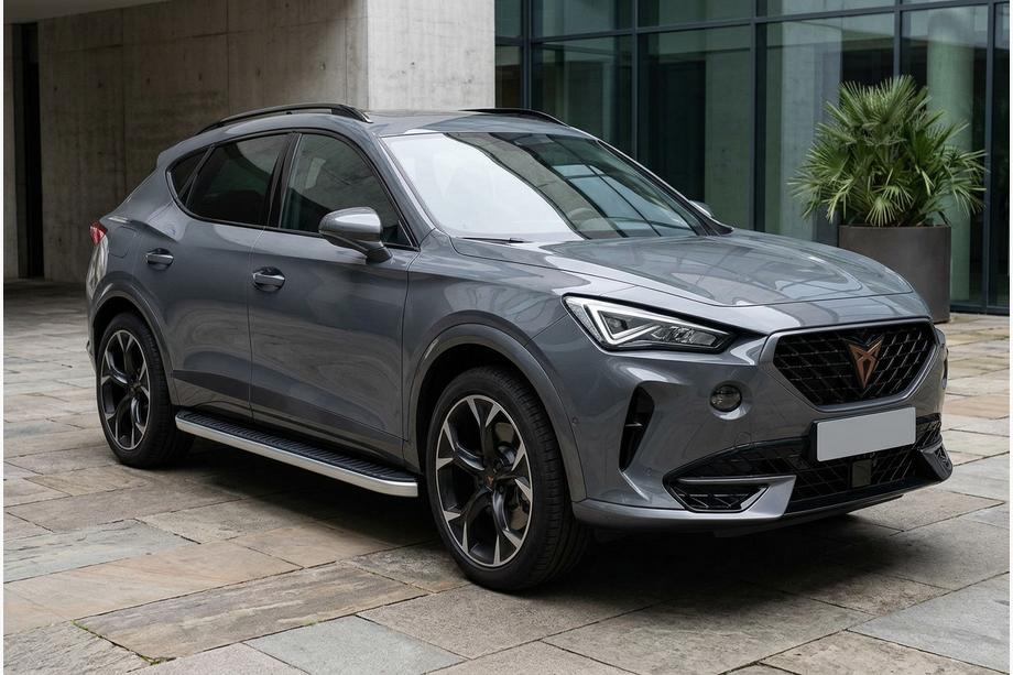Cupra Formentor 2020– Side steps Tayga Grey (2 stuks, aluminium) Image